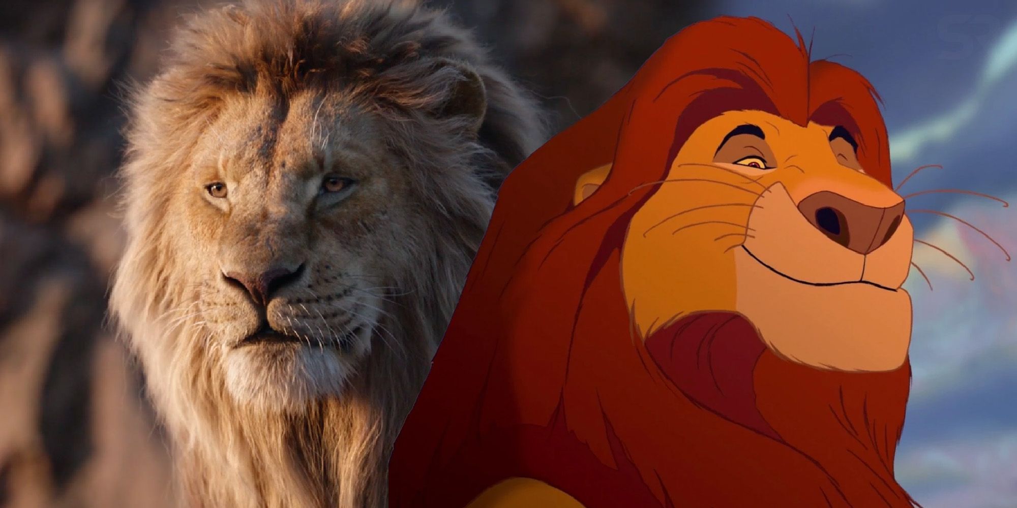 Detail Pictures Of Mufasa From Lion King Nomer 11