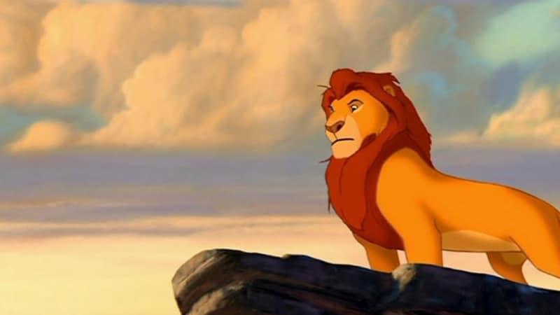 Detail Pictures Of Mufasa From Lion King Nomer 16