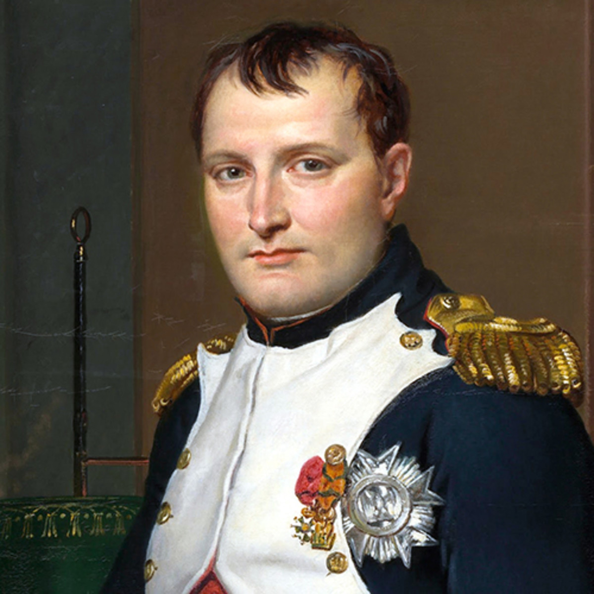 Detail Pictures Of Napoleon Bonaparte Nomer 2