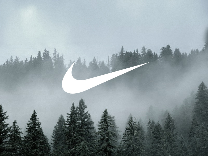 Detail Pictures Of Nike Symbol Nomer 19
