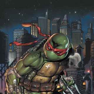 Detail Pictures Of Ninja Turtles Characters Nomer 24
