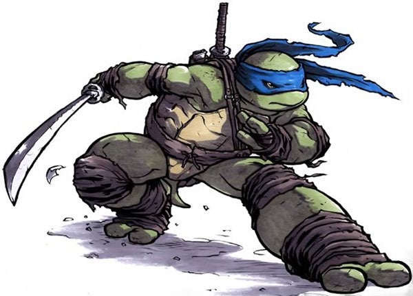 Detail Pictures Of Ninja Turtles Leonardo Nomer 18
