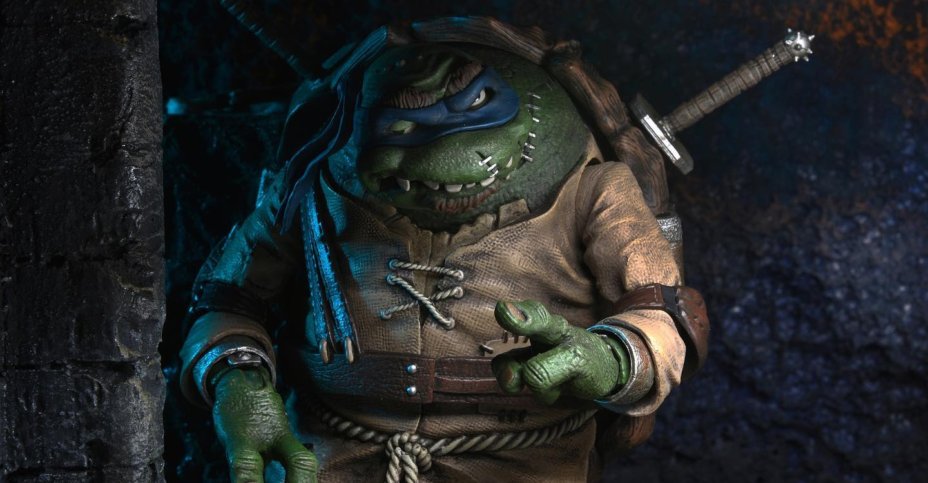 Detail Pictures Of Ninja Turtles Leonardo Nomer 20