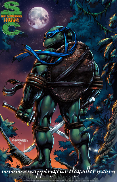 Detail Pictures Of Ninja Turtles Leonardo Nomer 48