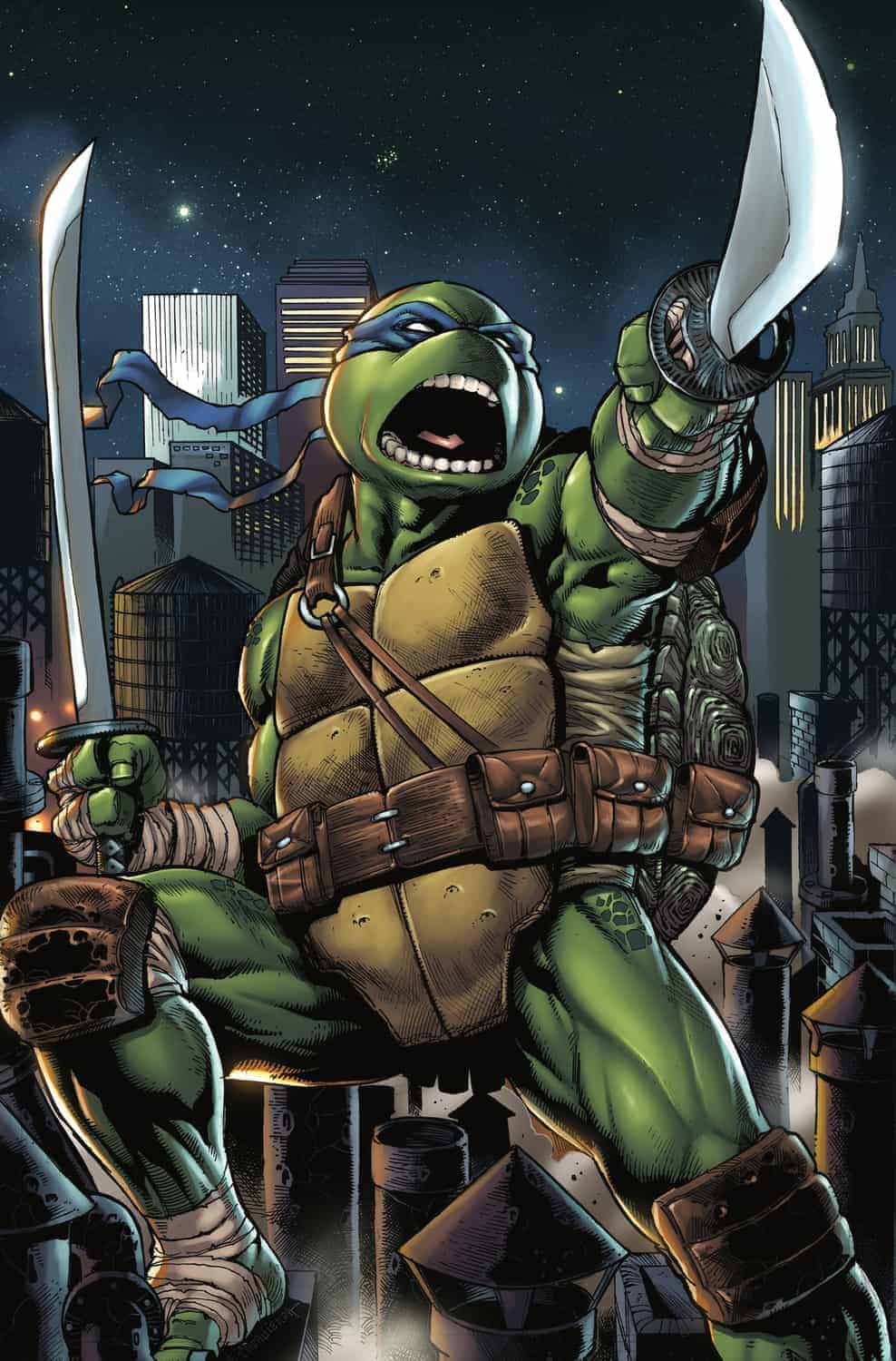 Detail Pictures Of Ninja Turtles Leonardo Nomer 7