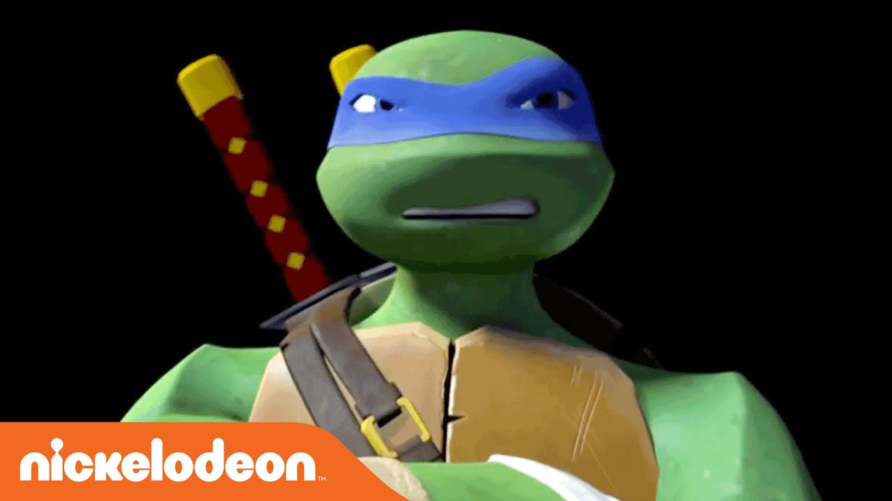 Detail Pictures Of Ninja Turtles Leonardo Nomer 9