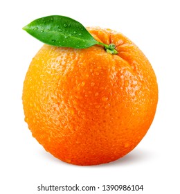 Detail Pictures Of Orange Nomer 19
