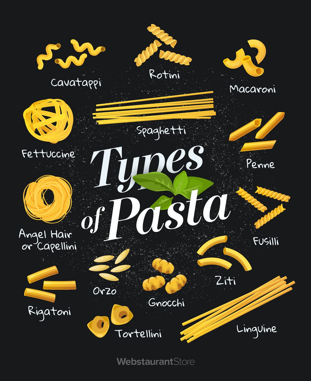 Detail Pictures Of Pasta Types Nomer 9