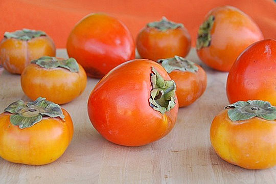 Detail Pictures Of Persimmons Nomer 38