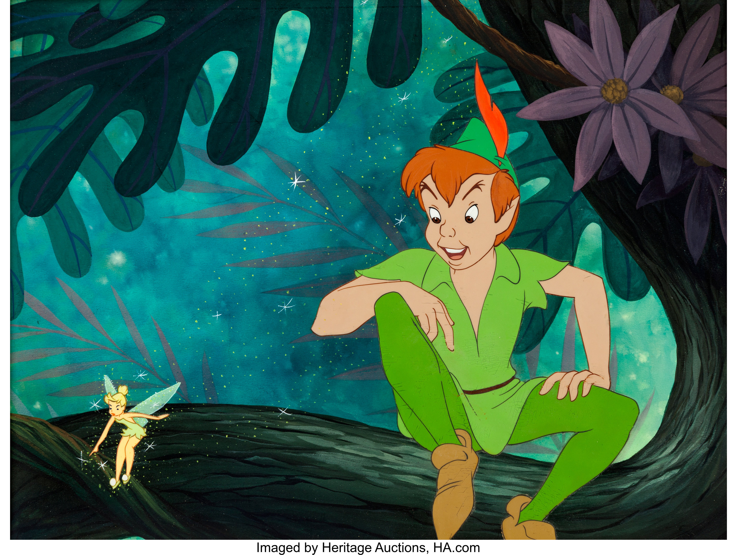 Detail Pictures Of Peter Pan And Tinkerbell Nomer 17