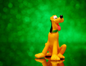 Detail Pictures Of Pluto The Dog Nomer 27