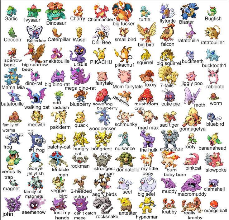 Detail Pictures Of Pokemon Characters With Names Nomer 9