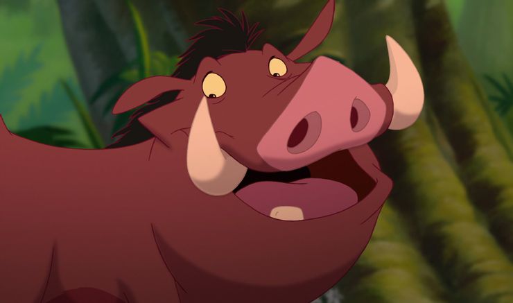 Detail Pictures Of Pumbaa Nomer 20