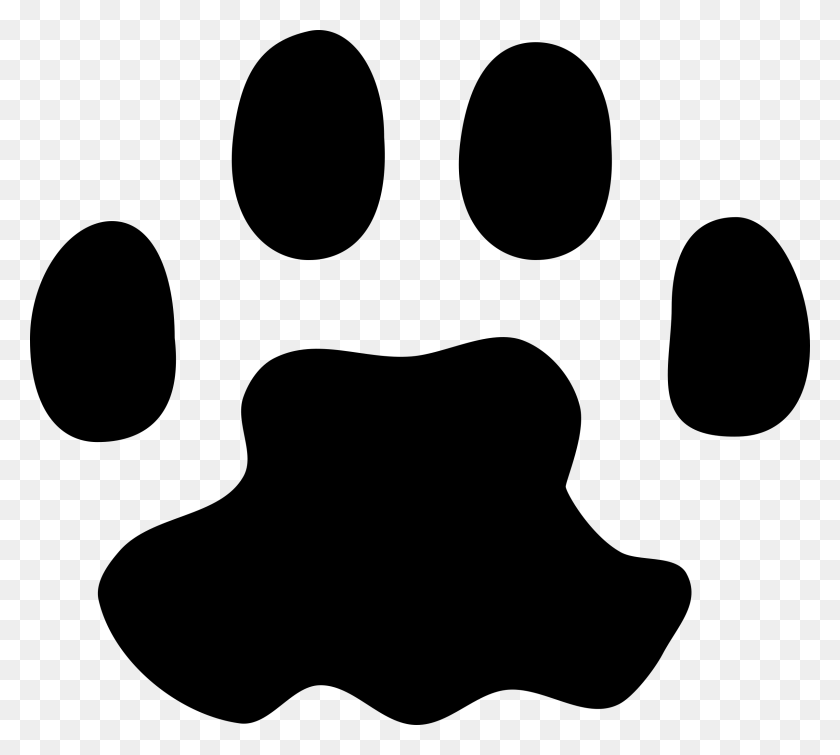 Pictures Of Raccoon Paw Prints