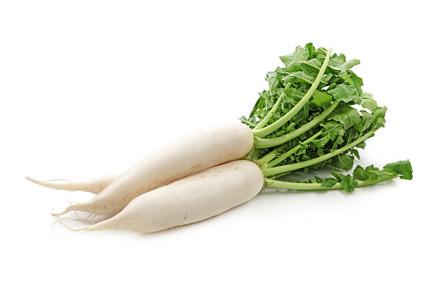 Pictures Of Radish - KibrisPDR