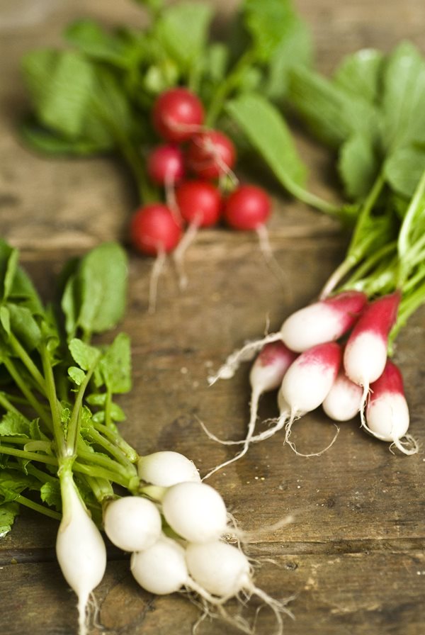 Detail Pictures Of Radishes Nomer 20