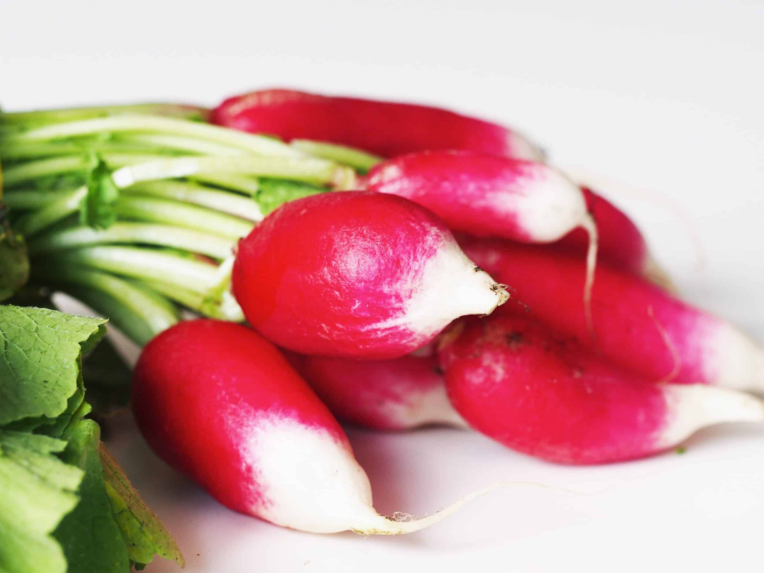 Detail Pictures Of Radishes Nomer 35