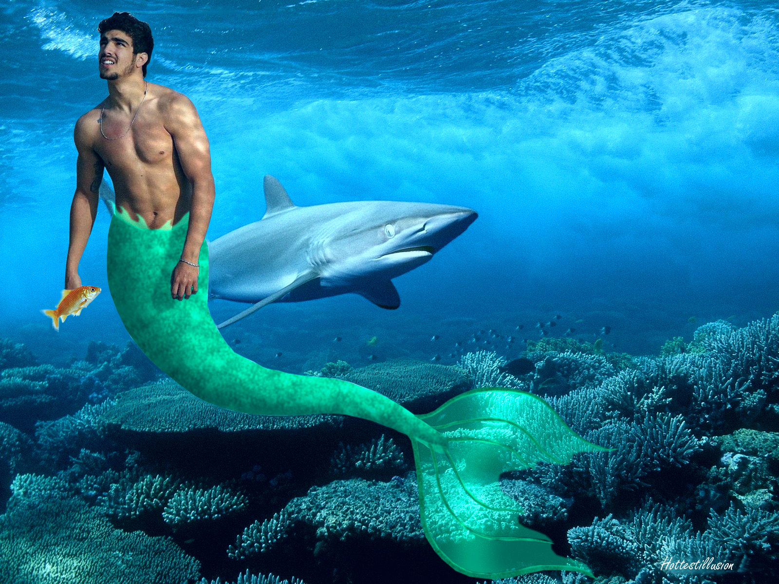 Pictures Of Real Merman - KibrisPDR