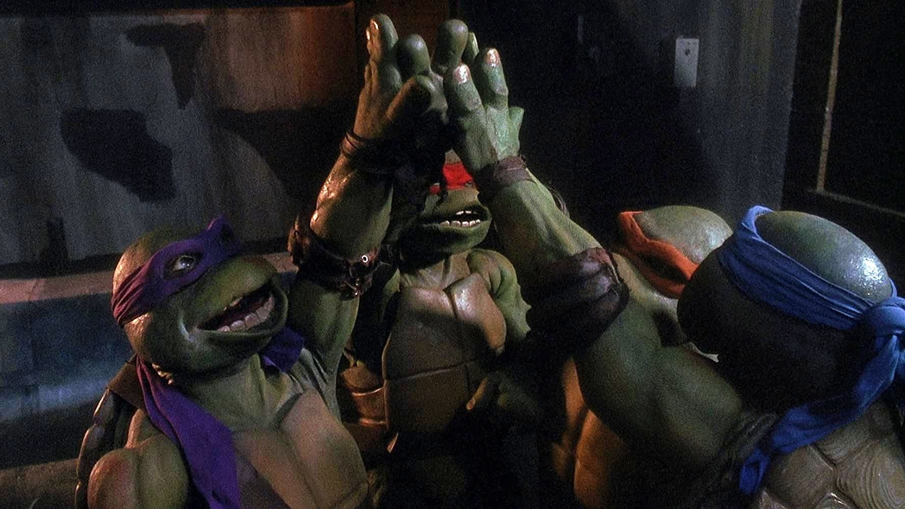 Detail Pictures Of Real Ninja Turtles Nomer 18