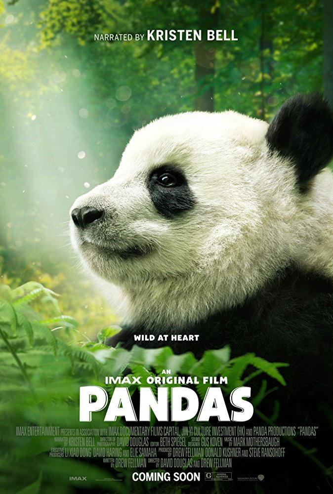 Detail Pictures Of Real Pandas Nomer 30