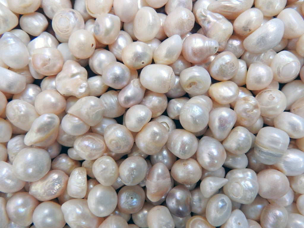 Detail Pictures Of Real Pearls Nomer 40