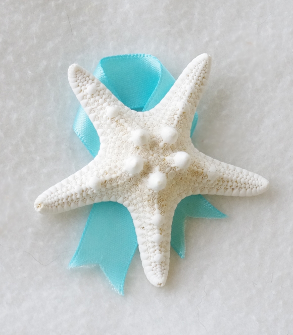 Detail Pictures Of Real Starfish Nomer 45