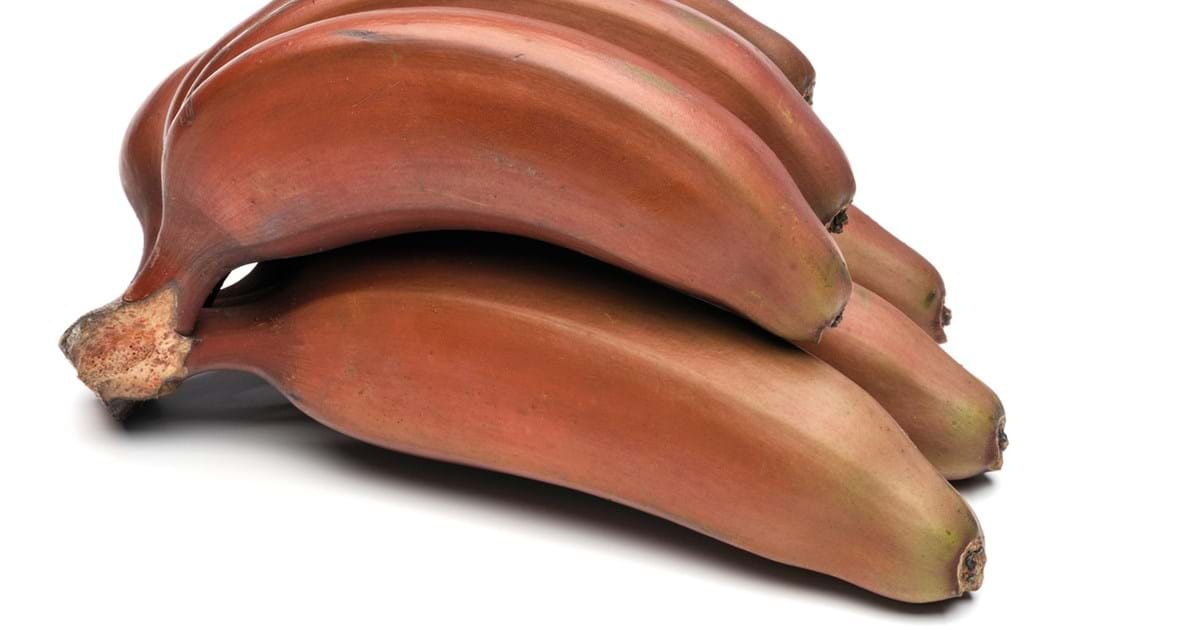 Detail Pictures Of Red Bananas Nomer 33