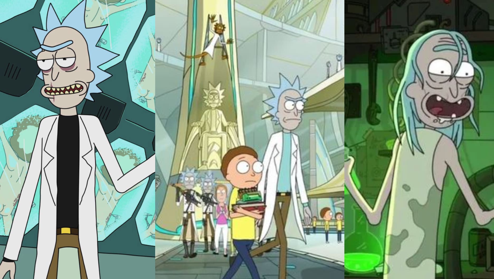 Detail Pictures Of Rick From Rick And Morty Nomer 9