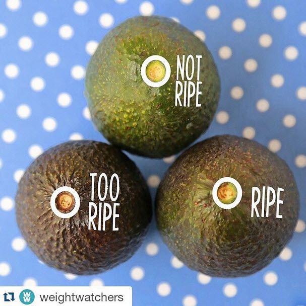 Detail Pictures Of Ripe Avocados Nomer 17