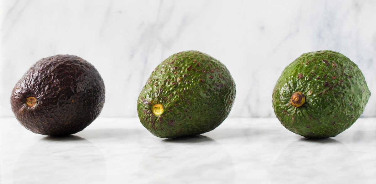 Detail Pictures Of Ripe Avocados Nomer 26