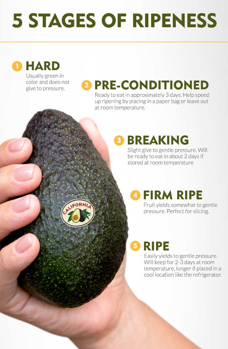 Detail Pictures Of Ripe Avocados Nomer 28