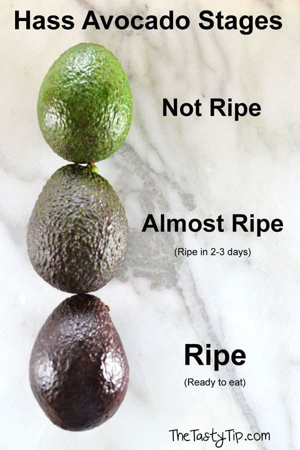 Detail Pictures Of Ripe Avocados Nomer 31