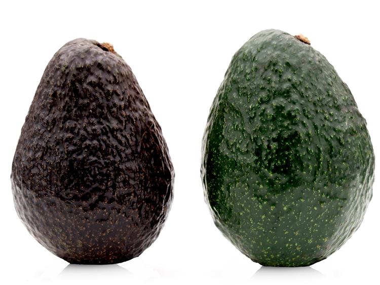 Detail Pictures Of Ripe Avocados Nomer 33