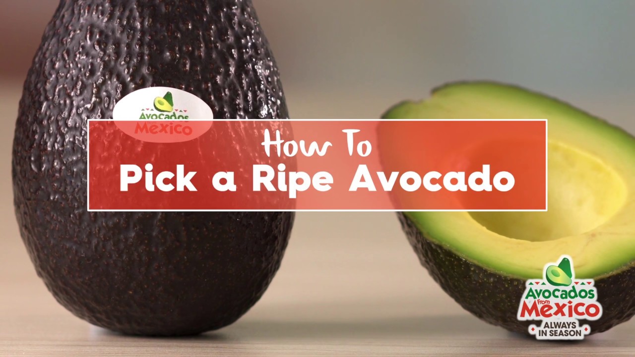 Detail Pictures Of Ripe Avocados Nomer 38