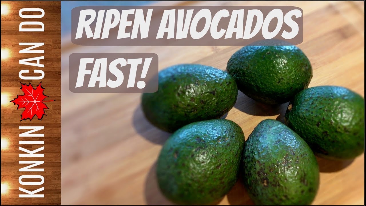 Detail Pictures Of Ripe Avocados Nomer 52