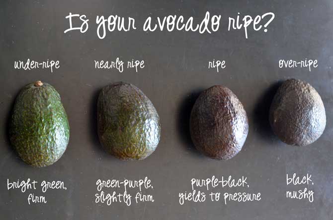 Detail Pictures Of Ripe Avocados Nomer 6