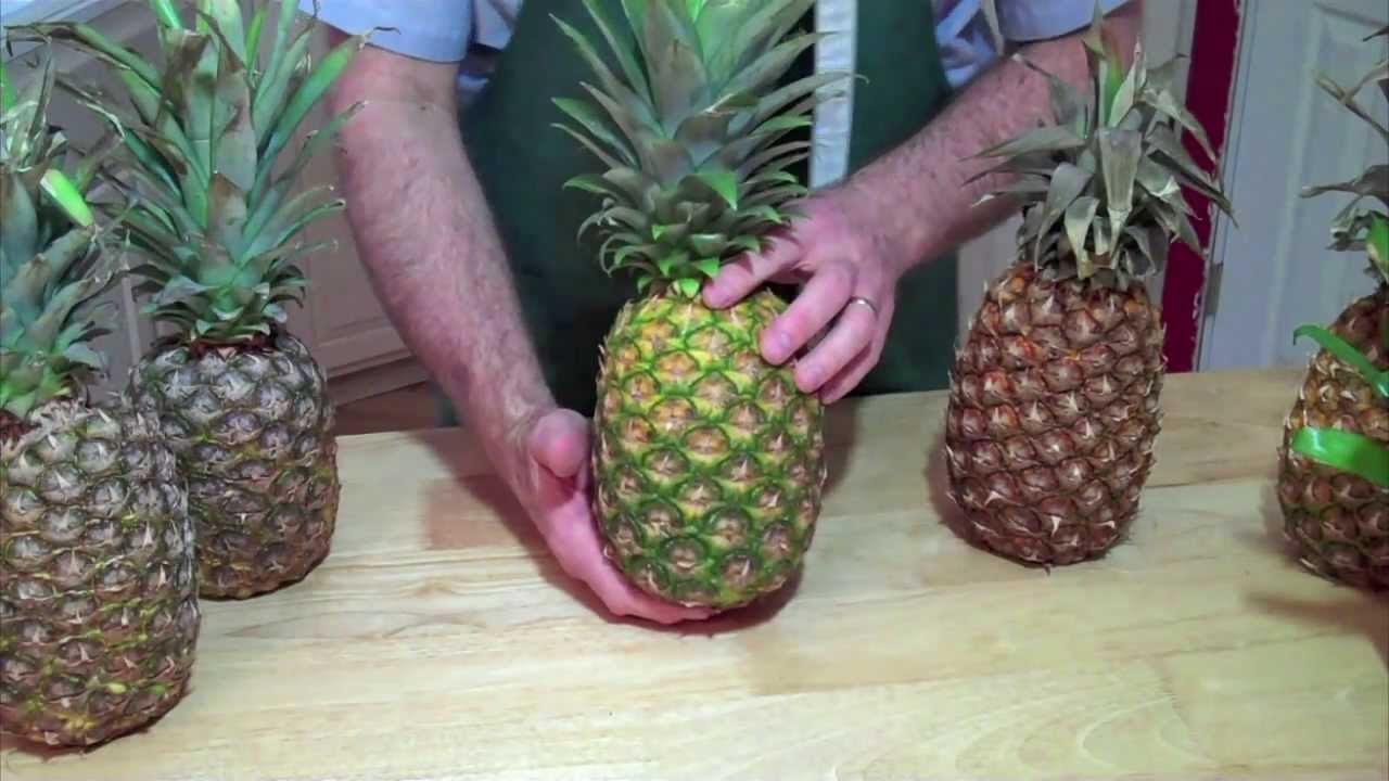 Detail Pictures Of Ripe Pineapples Nomer 16