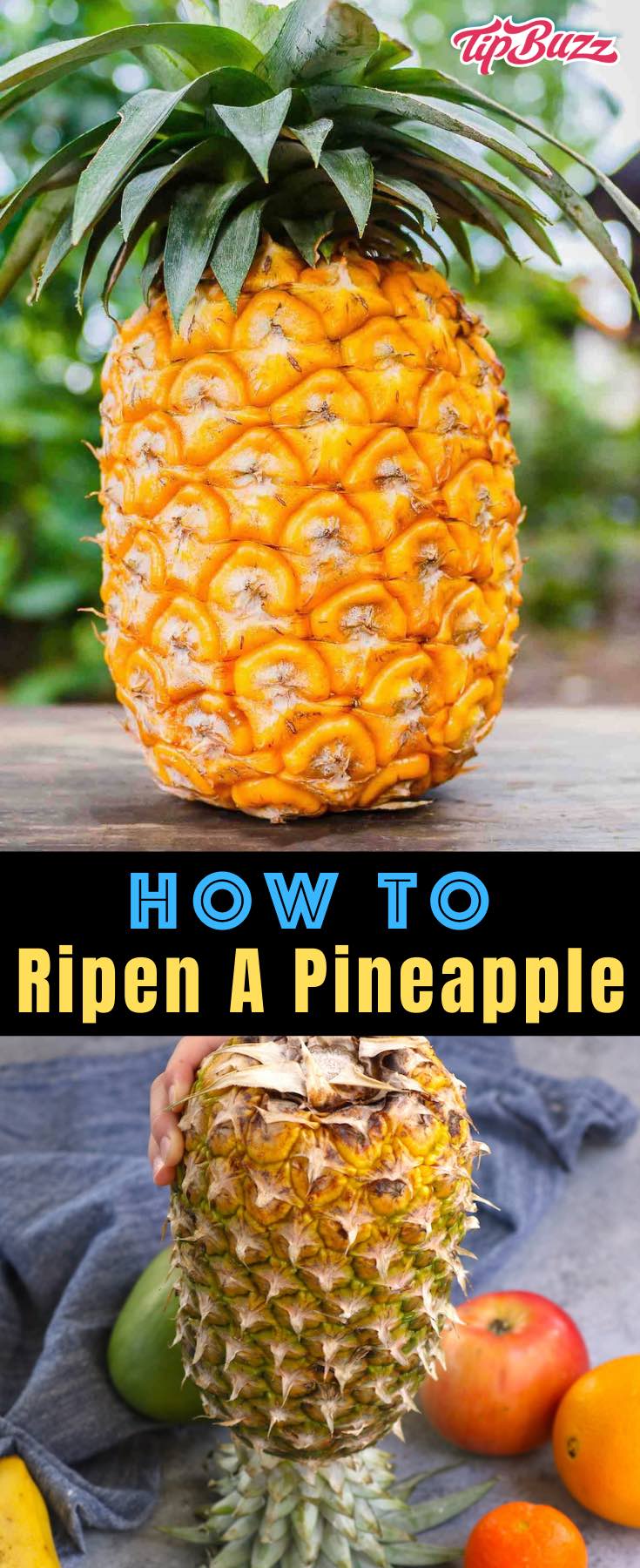 Detail Pictures Of Ripe Pineapples Nomer 30