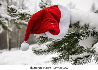 Detail Pictures Of Santa Claus Hats Nomer 27