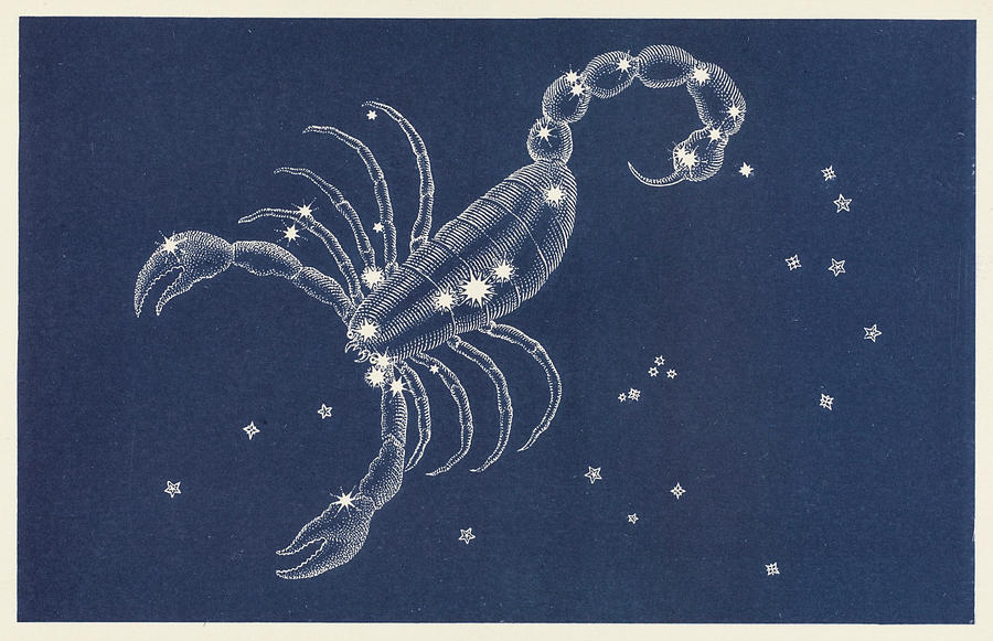 Detail Pictures Of Scorpio Constellation Nomer 32