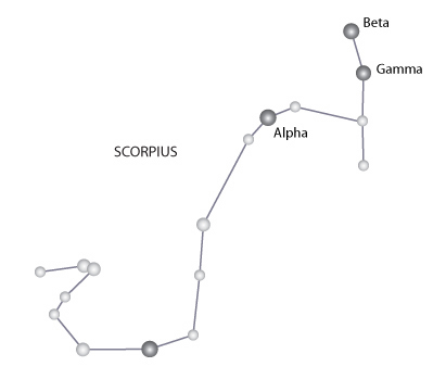 Detail Pictures Of Scorpio Constellation Nomer 40