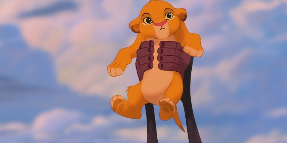 Detail Pictures Of Simba From Lion King Nomer 11
