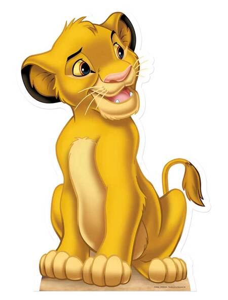 Detail Pictures Of Simba From Lion King Nomer 19