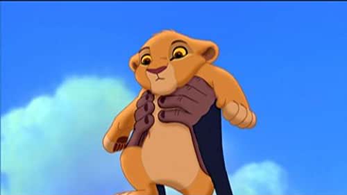 Detail Pictures Of Simba From Lion King Nomer 8