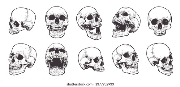 Pictures Of Skulls - KibrisPDR