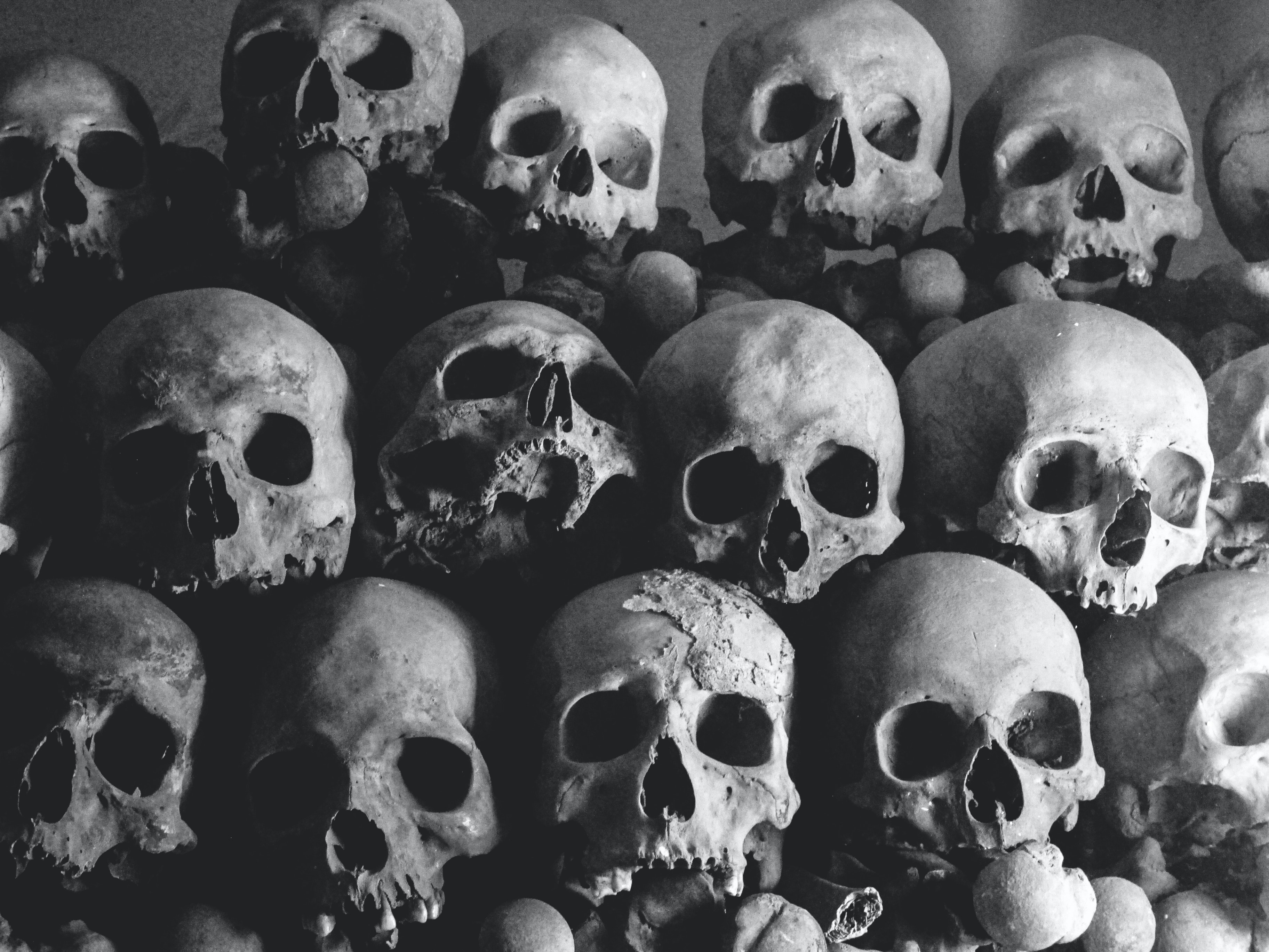 Detail Pictures Of Skulls Nomer 40
