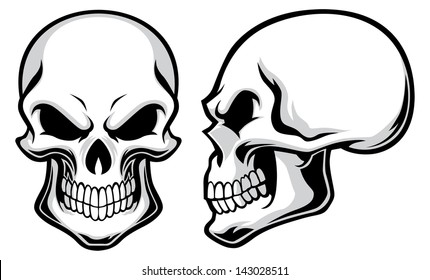 Detail Pictures Of Skulls Nomer 49