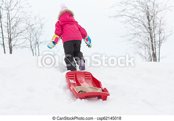 Detail Pictures Of Sleds In The Snow Nomer 28