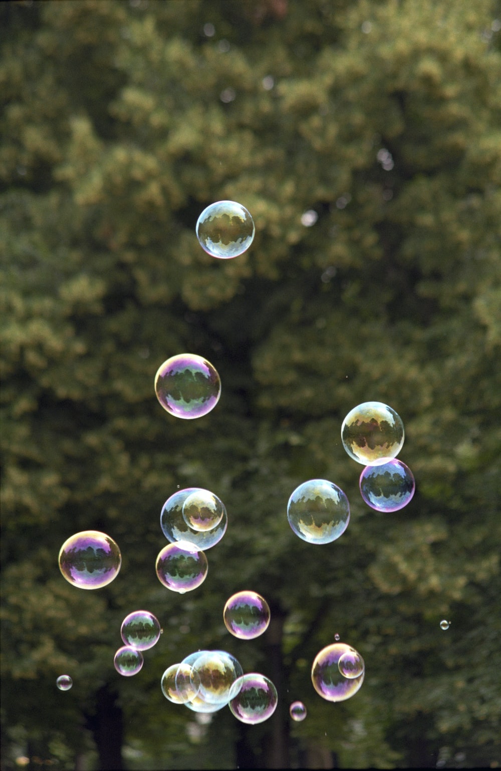 Detail Pictures Of Soap Bubbles Nomer 26