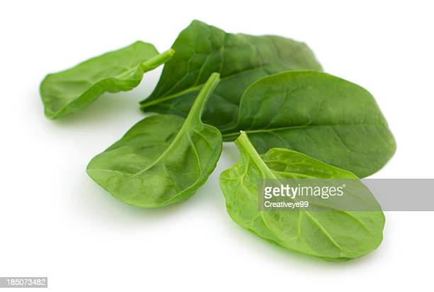 Detail Pictures Of Spinach Leaves Nomer 25